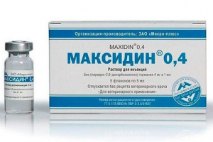 Як застосовувати maxdin для кішок? Як застосовувати maxdin для кішок?